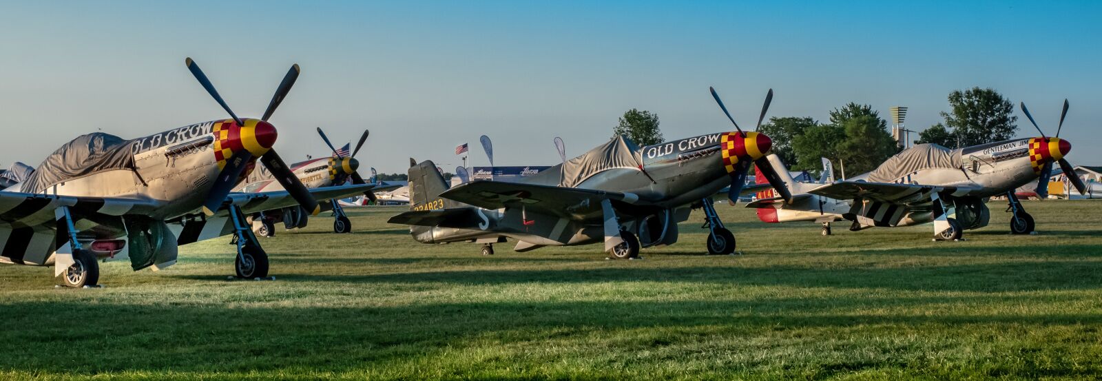Tamron SP 24-70mm F2.8 Di VC USD sample photo. Aircraft, airplane, mustang photography