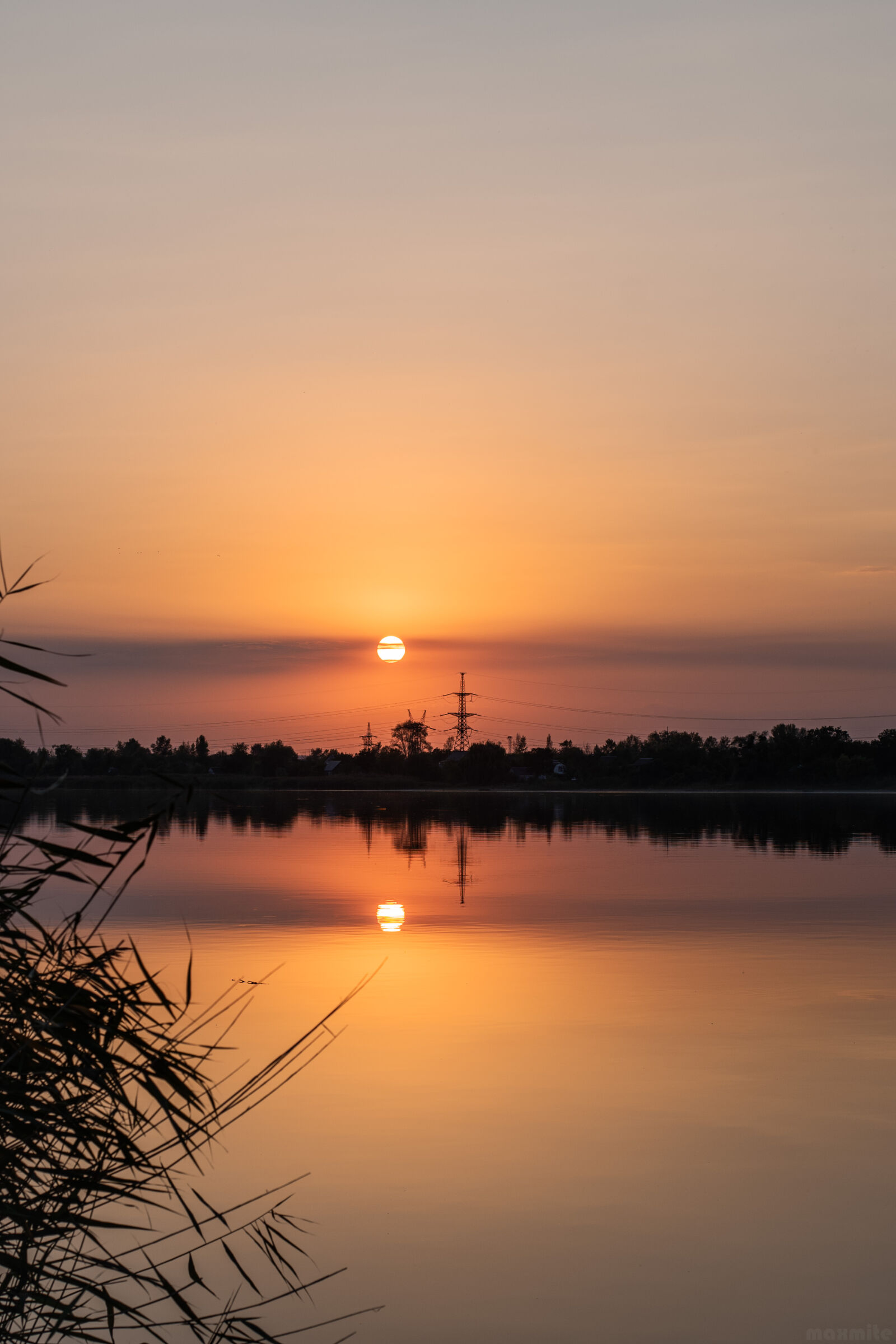 Nikon D750 sample photo
