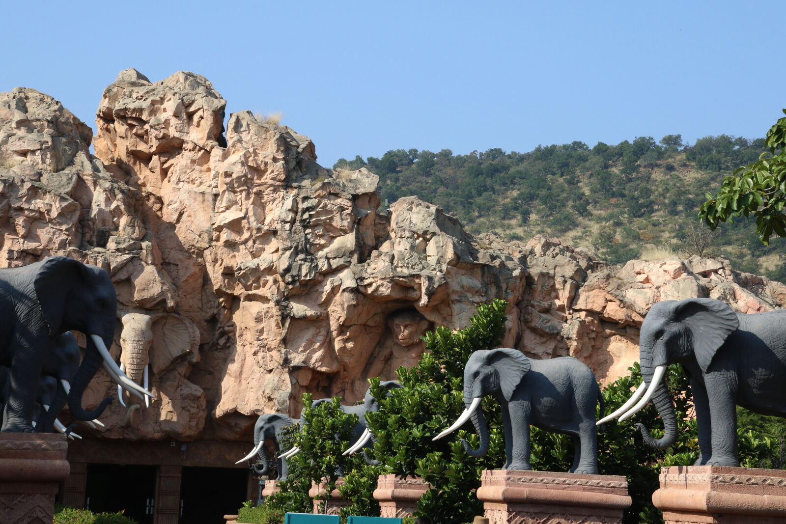Canon EOS 7D Mark II sample photo. Africa, animal, garden, mountain photography