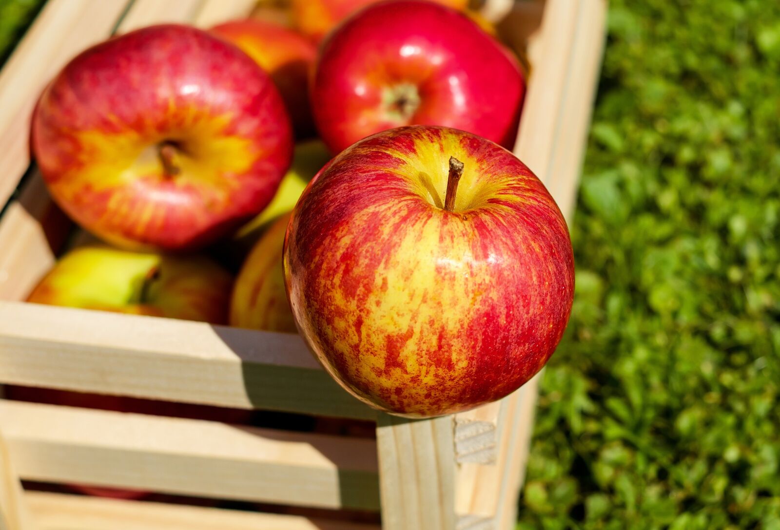 Fujifilm X-T10 + Fujifilm XF 35mm F1.4 R sample photo. Apple, red, fruit photography