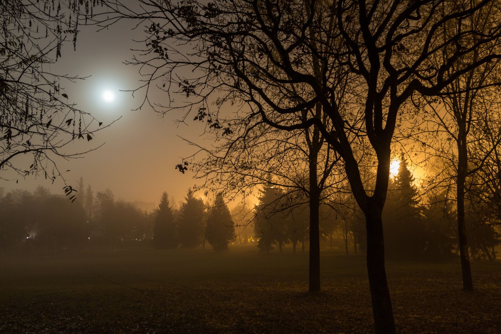 Canon EOS 700D (EOS Rebel T5i / EOS Kiss X7i) sample photo. Autumn, fog, moon photography