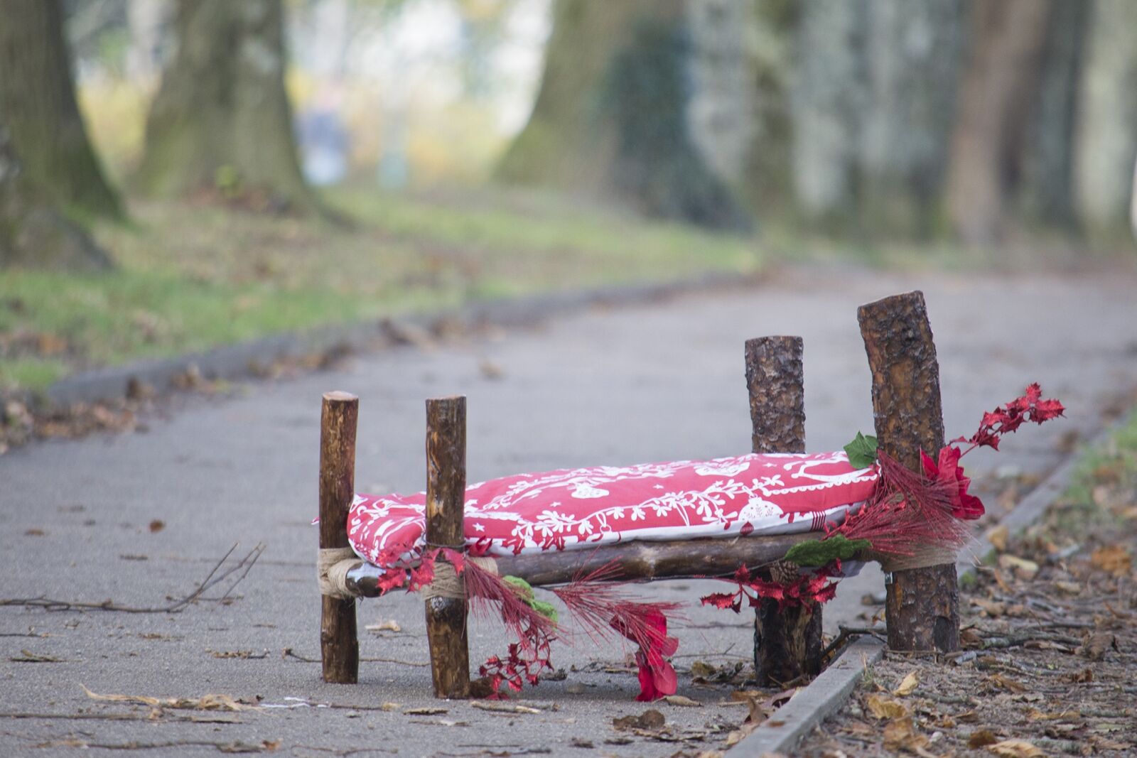 Nikon D610 sample photo. Christmas, bed, park photography