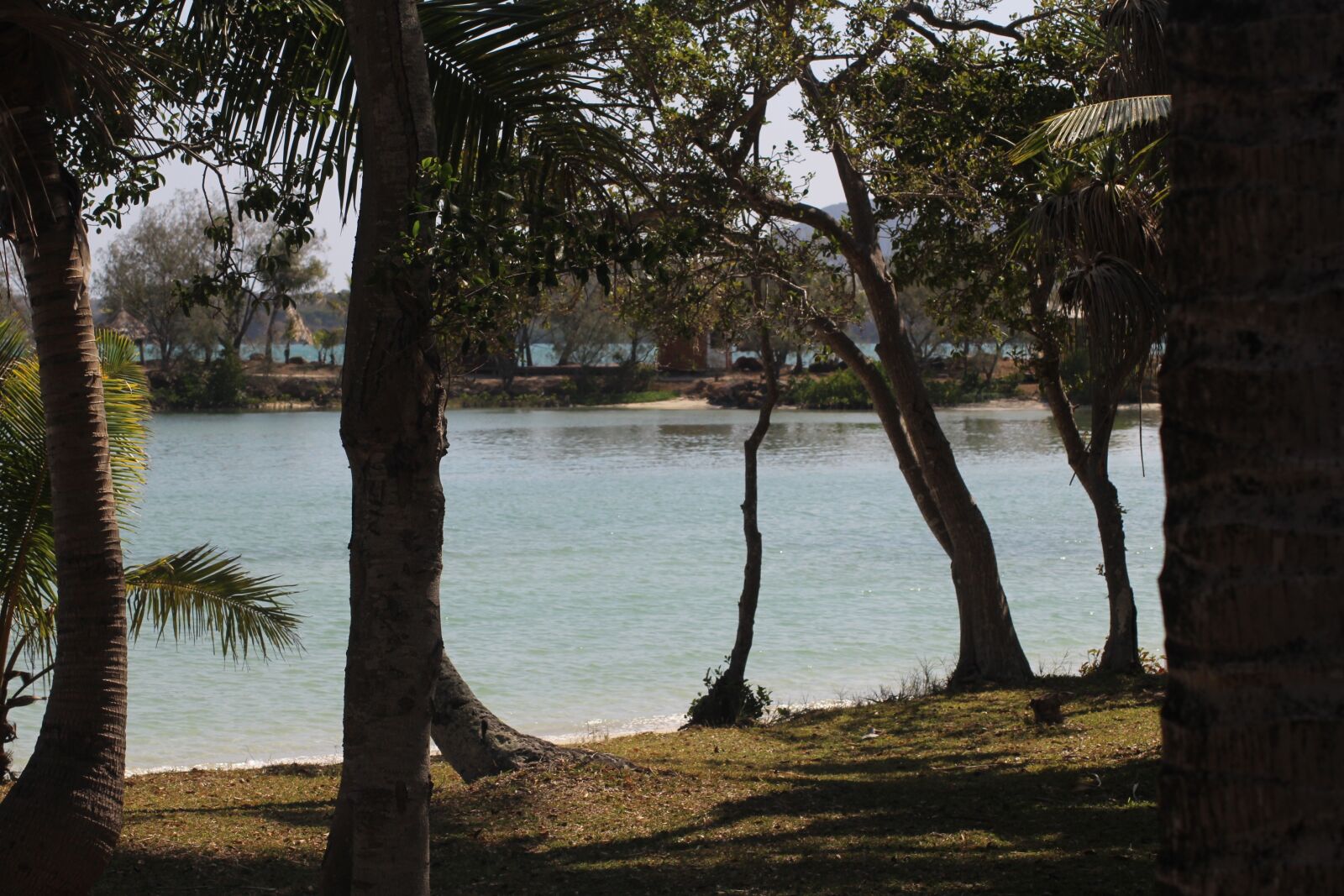 Canon EOS 1200D (EOS Rebel T5 / EOS Kiss X70 / EOS Hi) sample photo. Body of water, tree photography