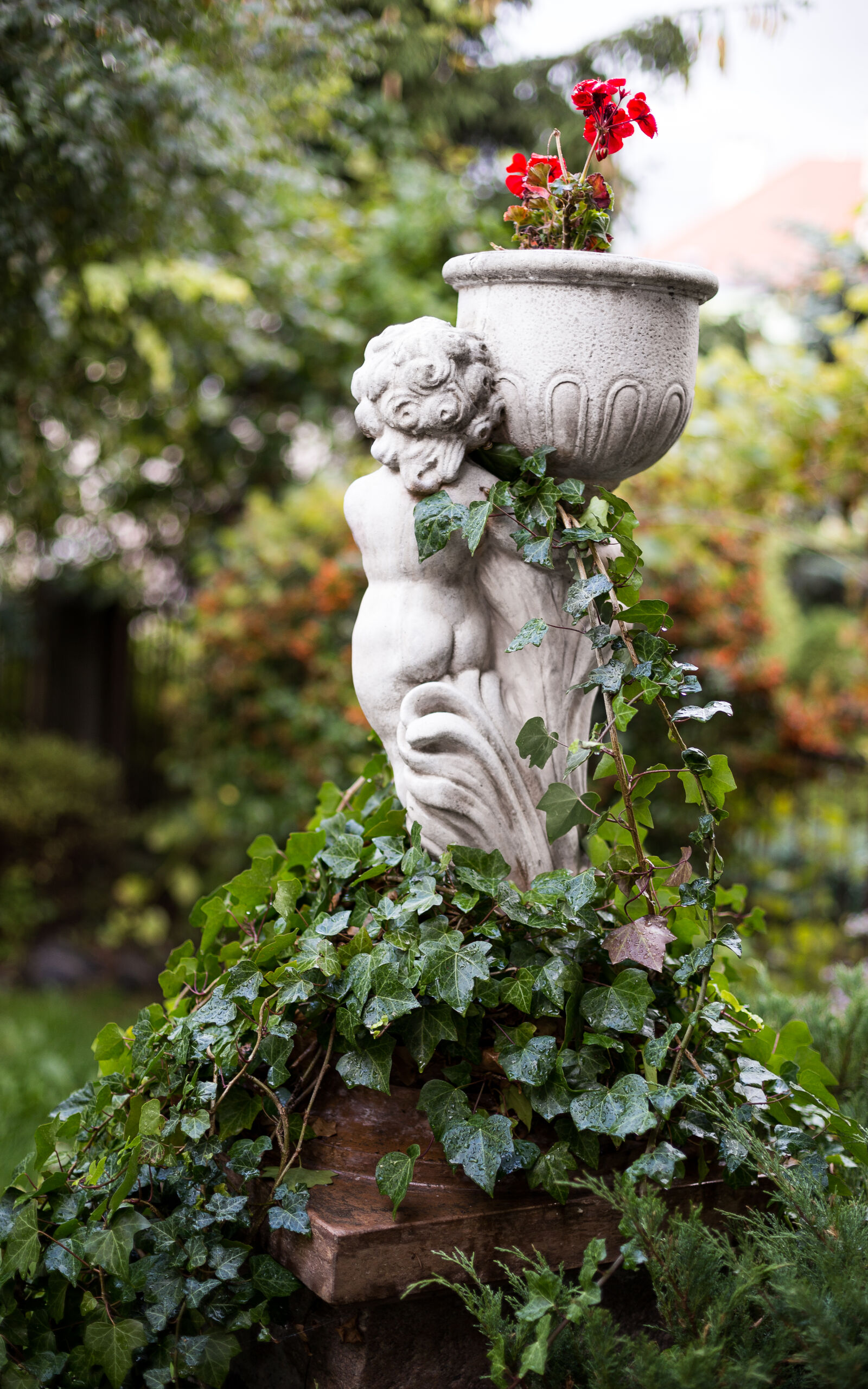 Canon EOS 6D + Canon EF 50mm F1.4 USM sample photo. Flower, flowers, garden, grandma photography