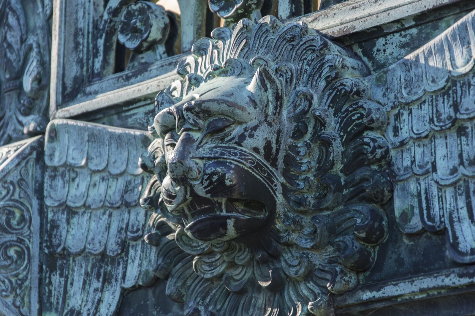 Nikon D3200 sample photo. Lion, goal, gate photography