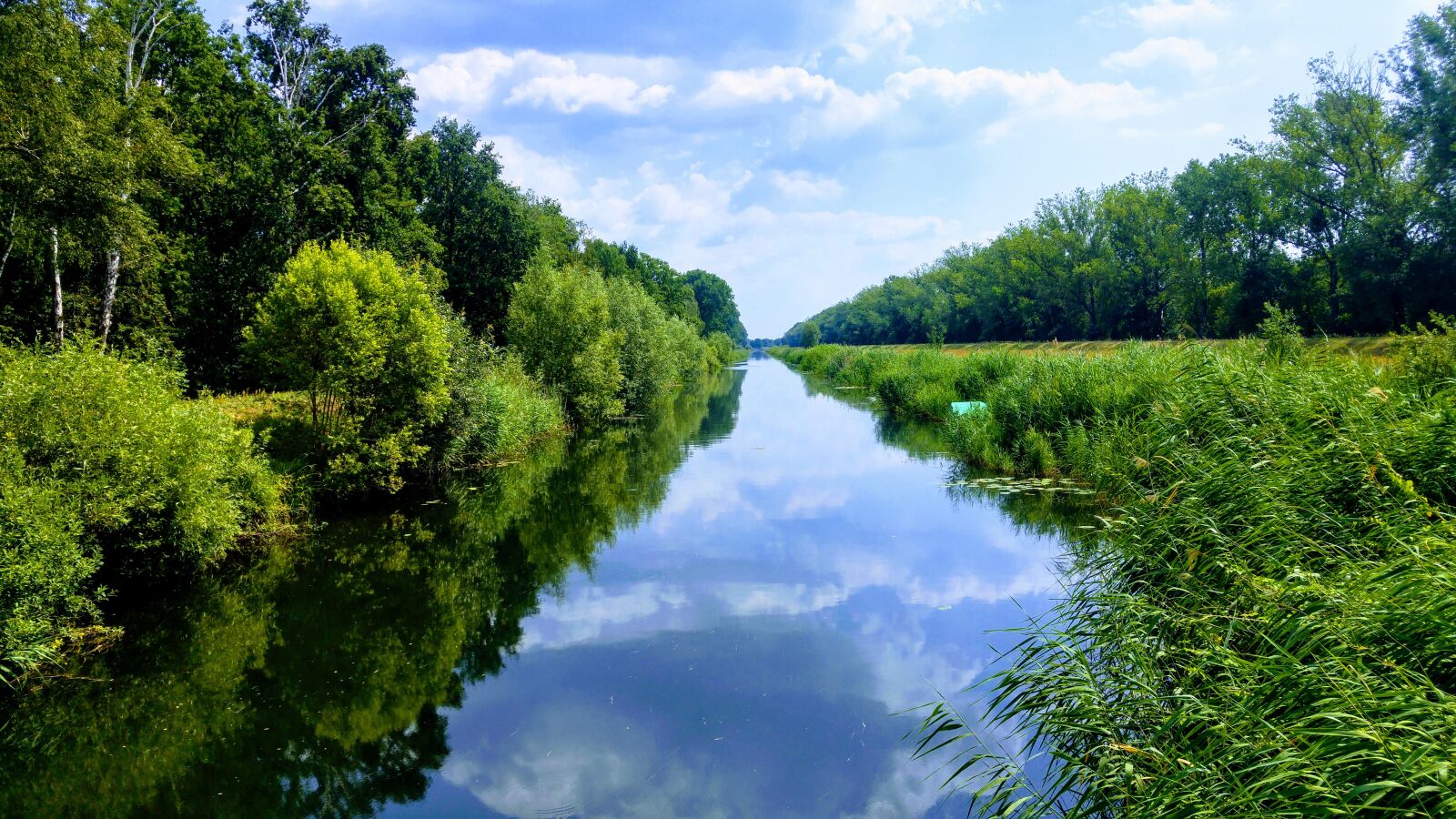 LG G4 sample photo. Germany, brandenburg, spreewald photography