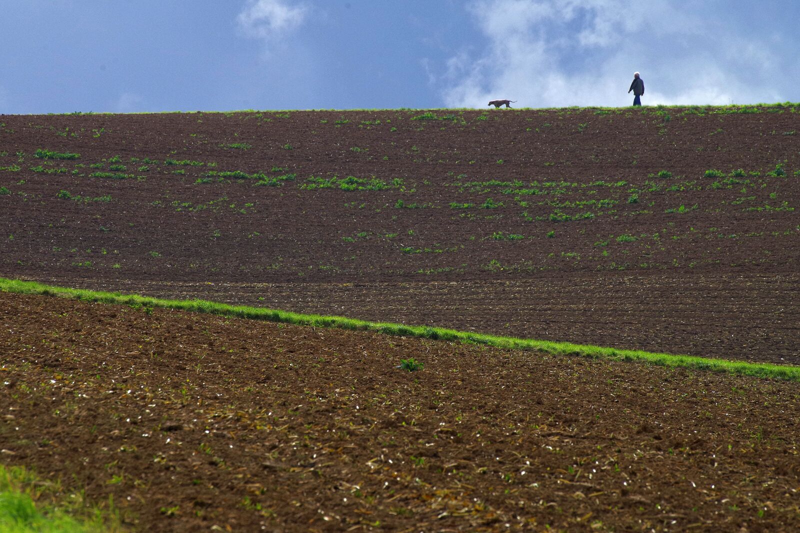 Pentax K-30 sample photo. Field, autumn, arable photography