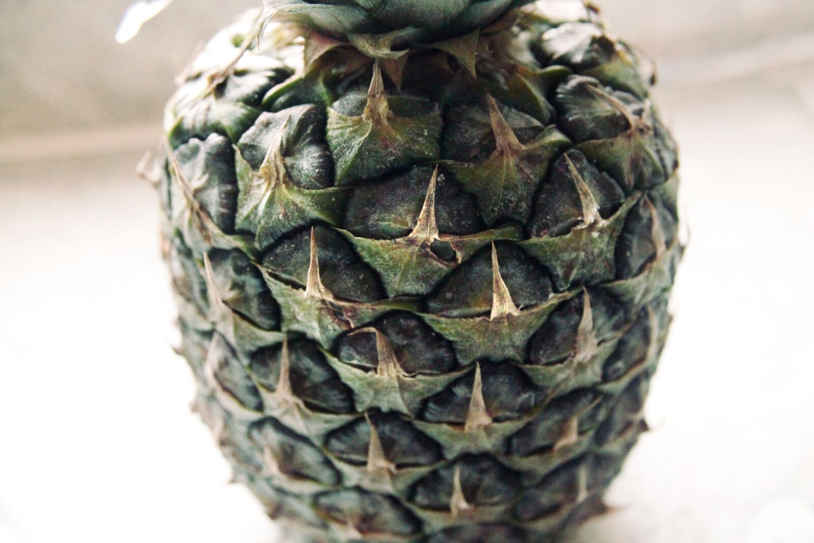 Canon EOS 1100D (EOS Rebel T3 / EOS Kiss X50) sample photo. Pineapple, fruit, green photography