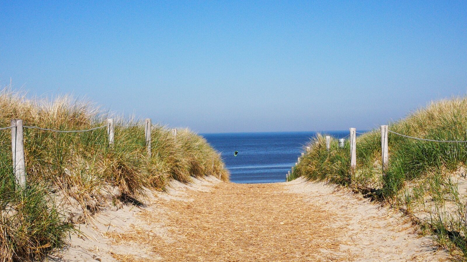 HUAWEI Mate 9 sample photo. Beach access, texel, dunes photography