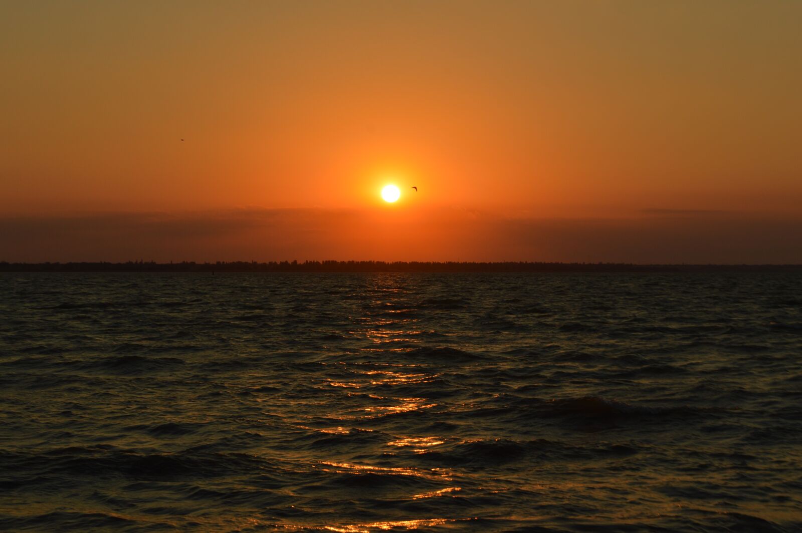 Nikon D3200 sample photo. Sunset, firth, water photography