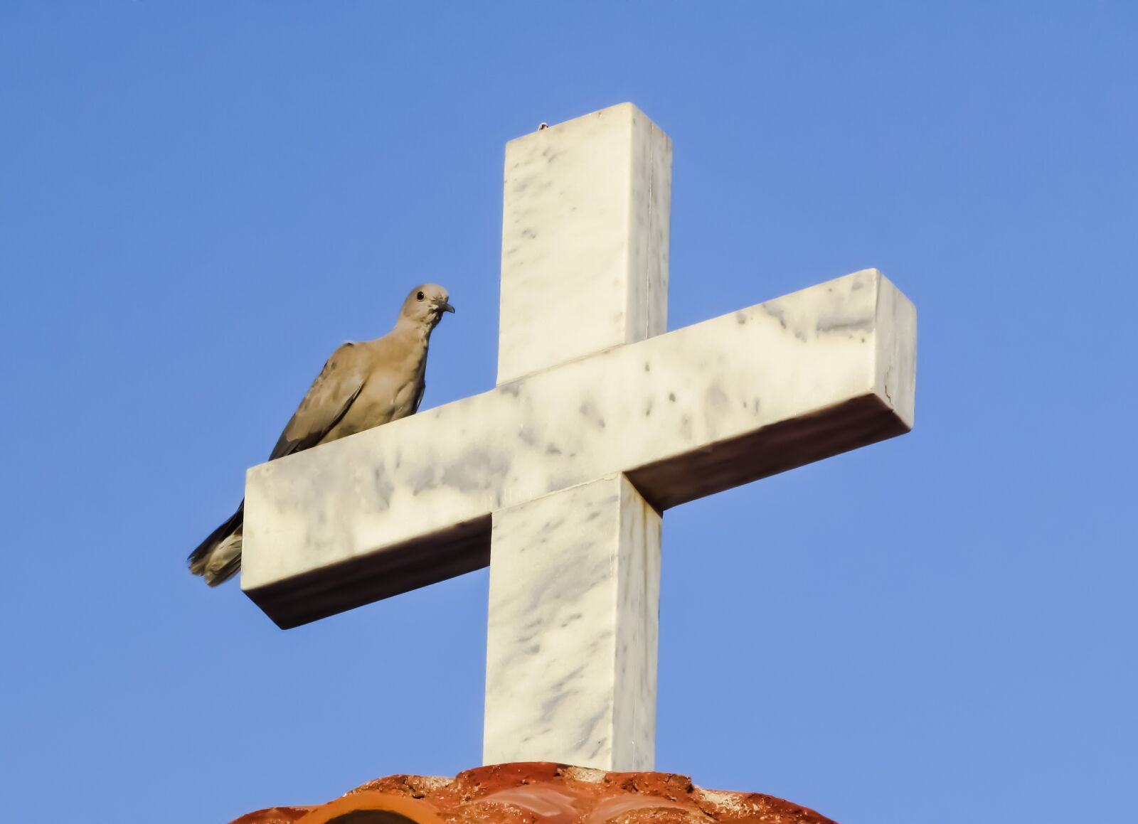 Canon PowerShot SX400 IS sample photo. Cross, wild pigeon, resting photography