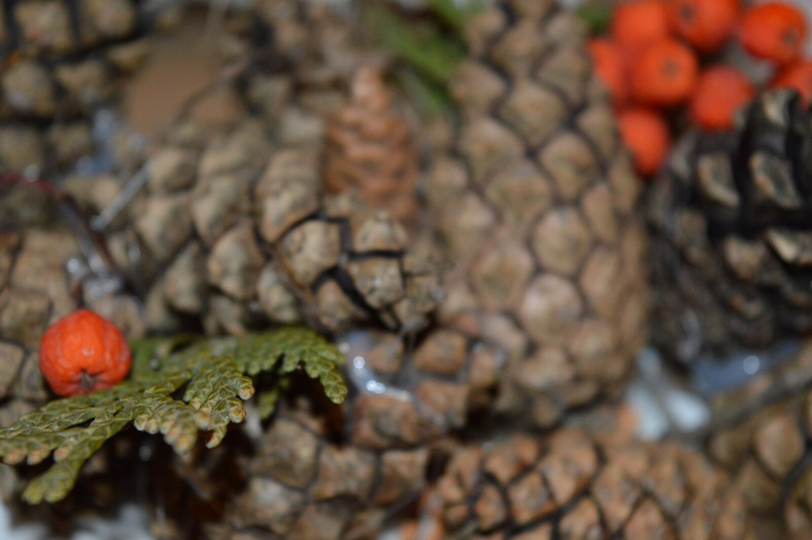 Nikon D3200 sample photo. Pine cone, rowan, jewelry photography