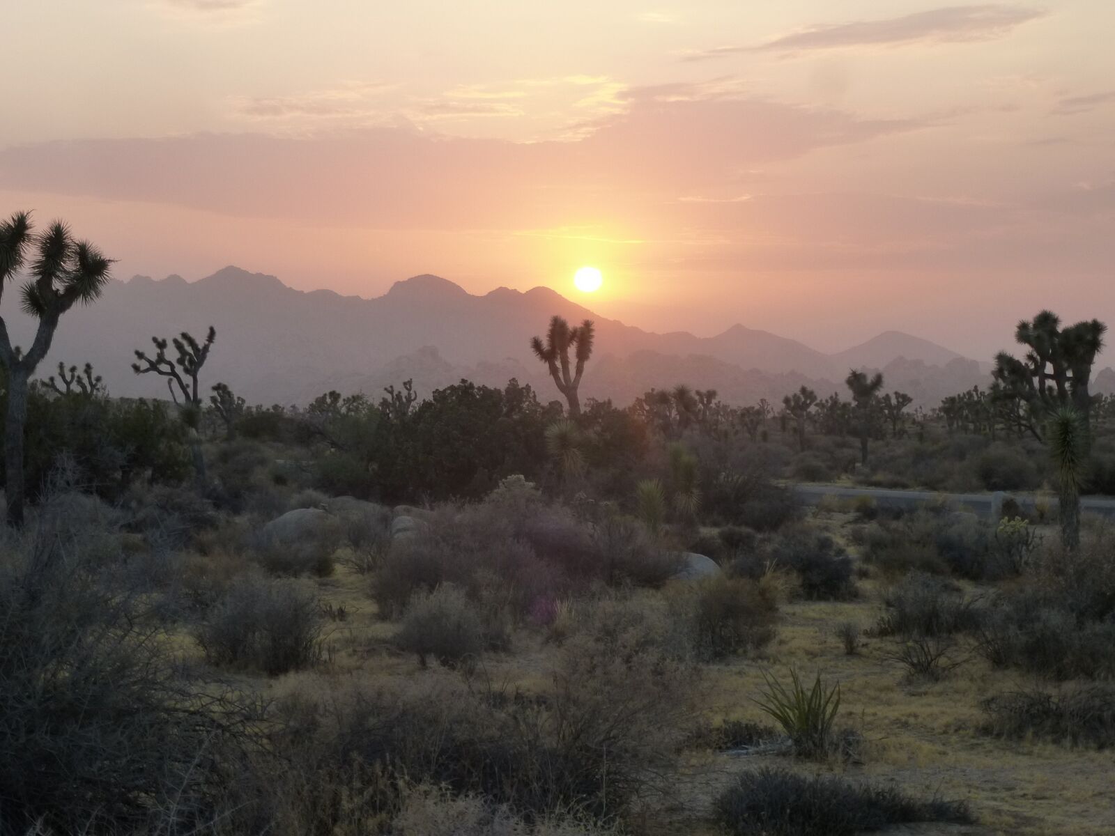Panasonic Lumix DMC-ZS15 (Lumix DMC-TZ25) sample photo. Desert, sunset, abendstimmung photography