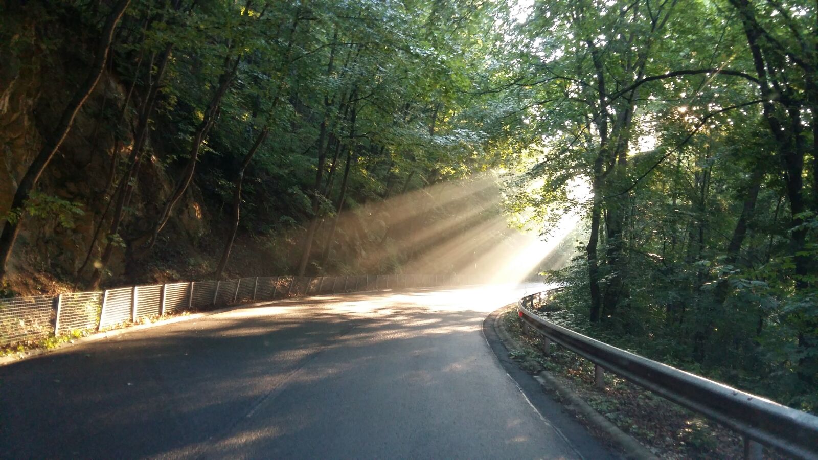 Samsung Galaxy A5 sample photo. Beech, road, light photography