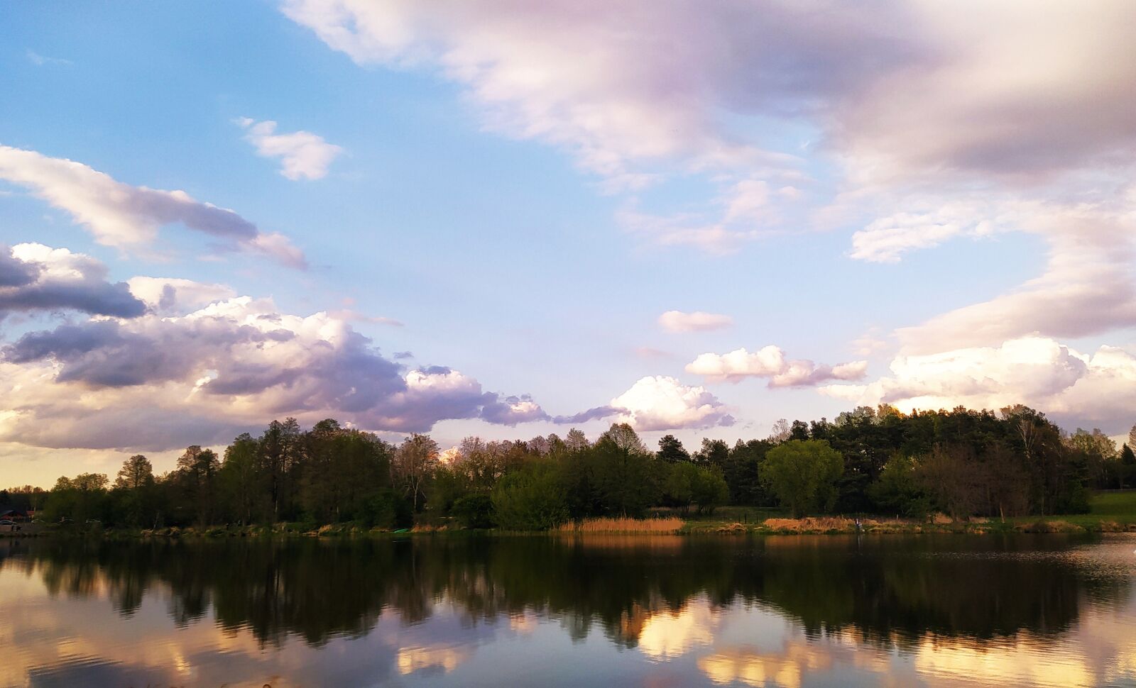 Xiaomi Redmi Note 8T sample photo. Pond, water, nature photography
