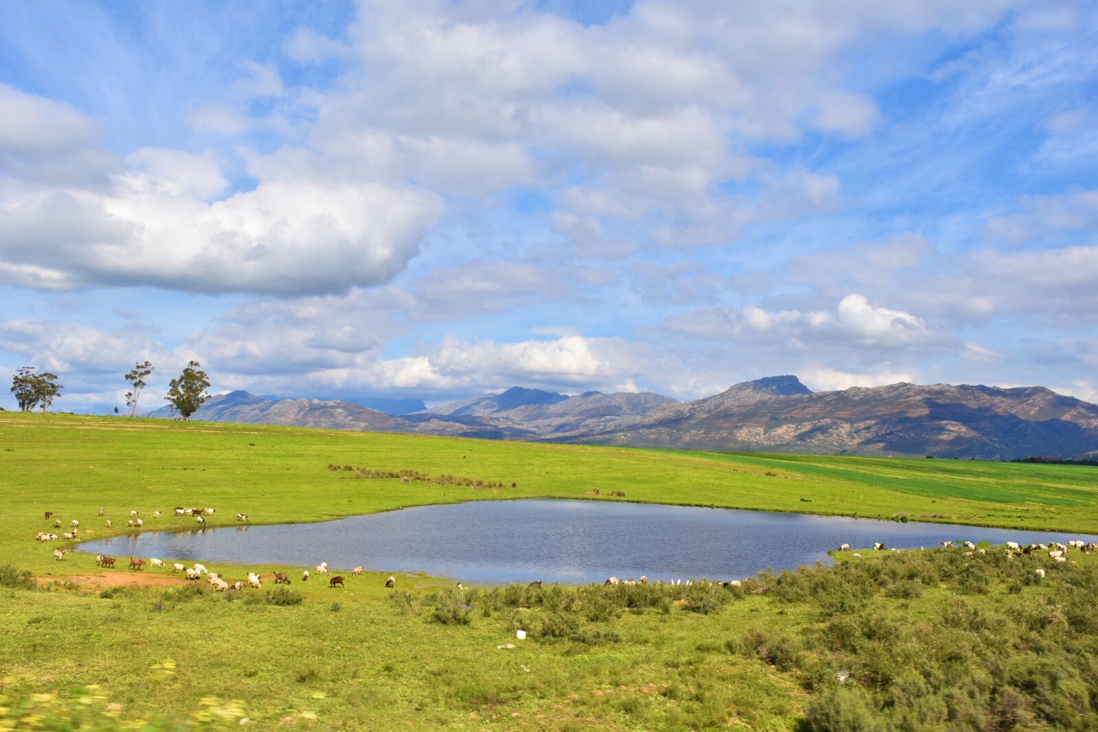 Nikon D5500 sample photo. Dam, countryside, landscape photography