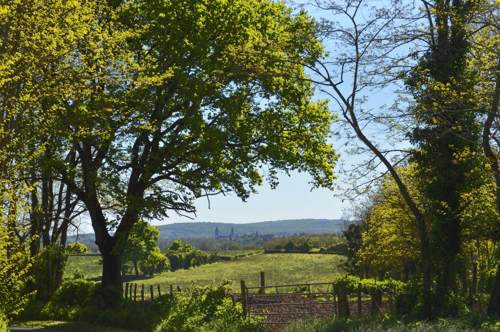 Nikon D3200 sample photo. Tournus, landscape, nature photography