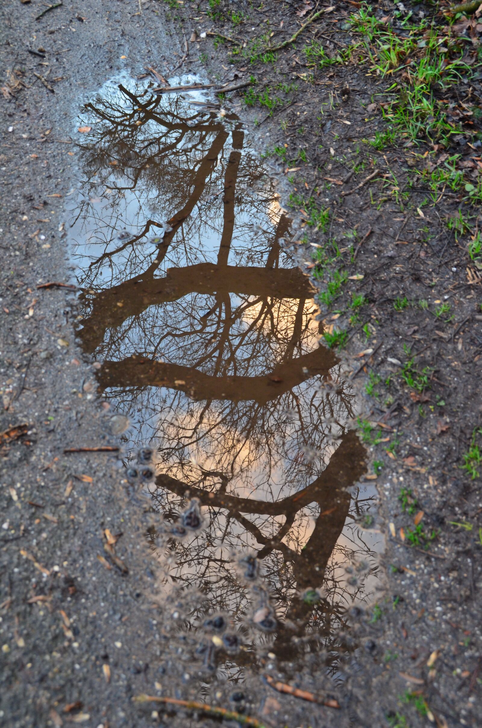Nikon D5100 sample photo. Autumn, winter, puddle photography