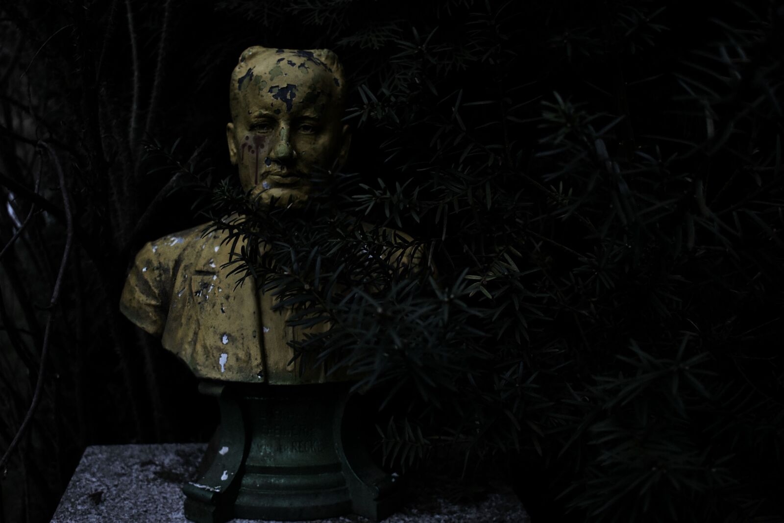 Nikon D3400 sample photo. Horror, dark, fantasy photography