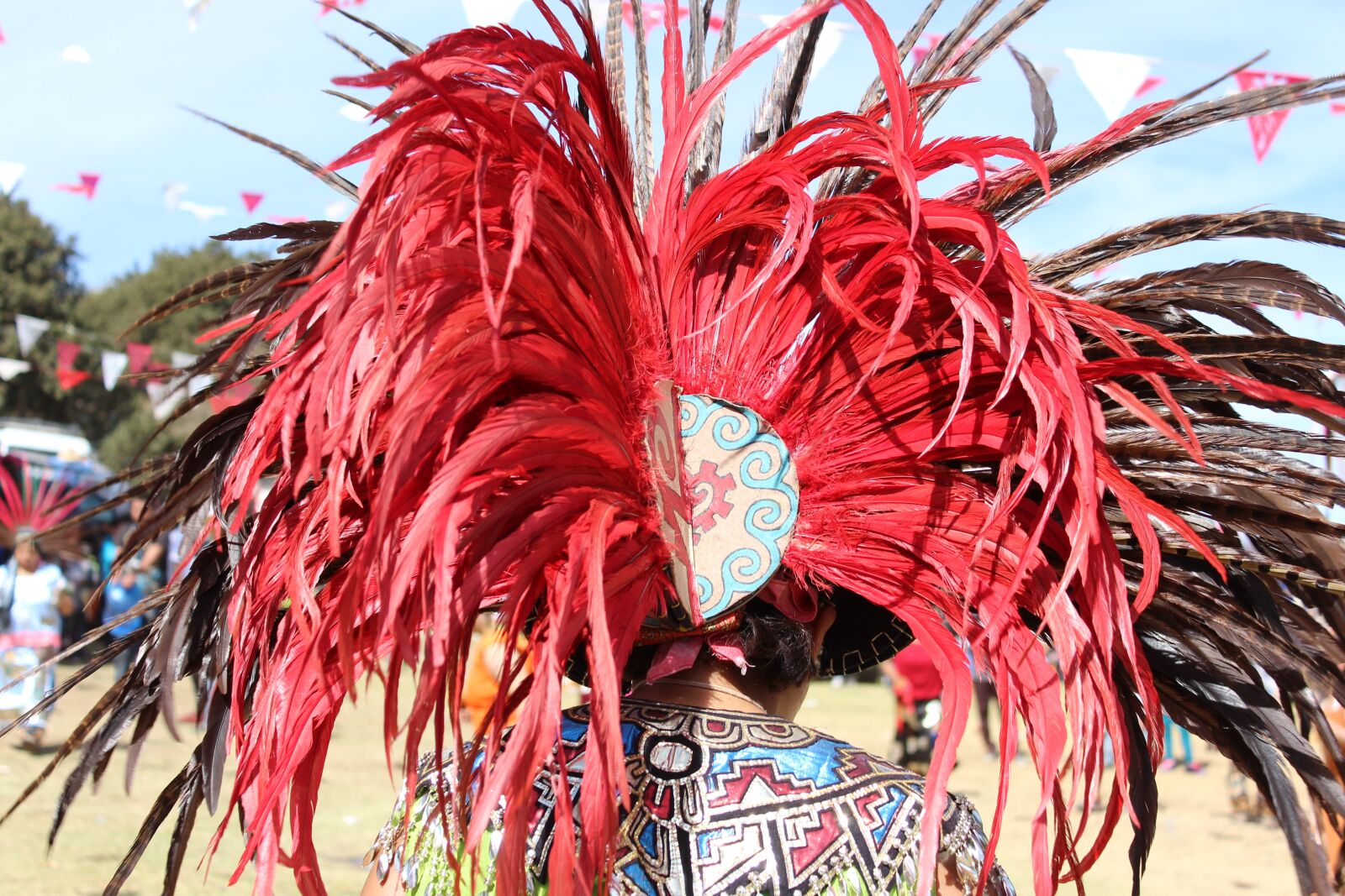 Canon EOS 1200D (EOS Rebel T5 / EOS Kiss X70 / EOS Hi) sample photo. Feathers, tuft, red photography