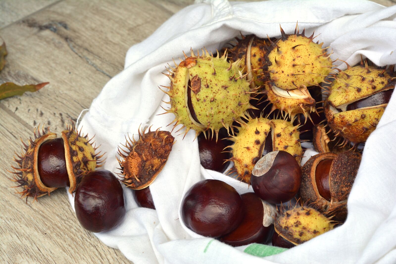 Nikon D5200 sample photo. Chestnuts, autumn, horse chestnut photography