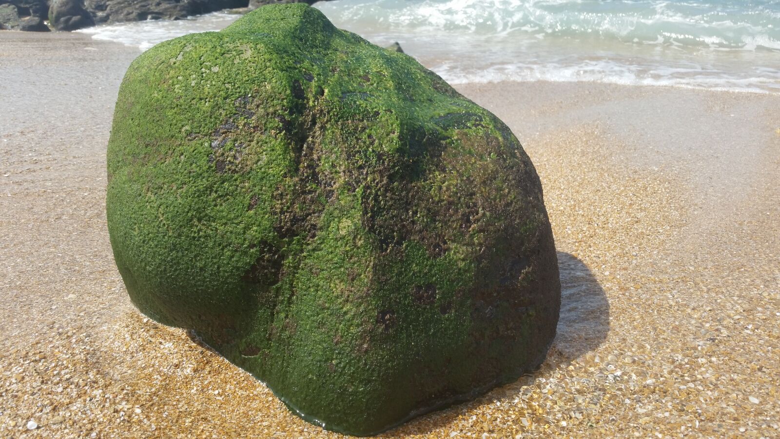Samsung Galaxy S5 sample photo