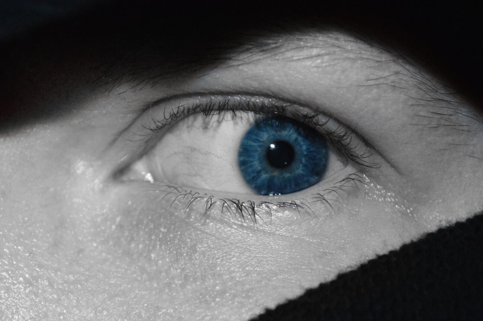 Nikon D3200 sample photo. Closeup, eye, person photography