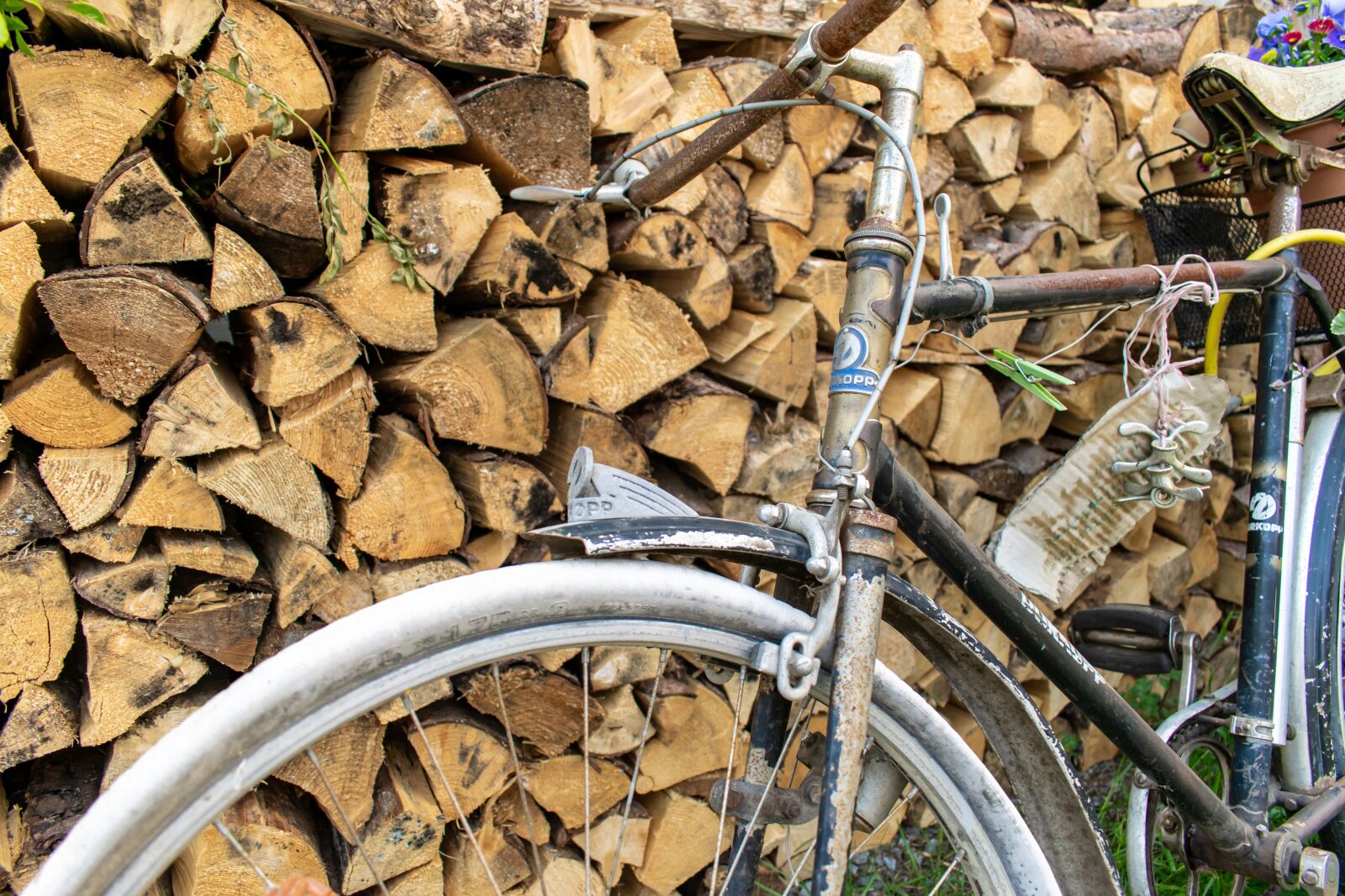 Nikon D5300 sample photo. Bike, dürkopp, old photography