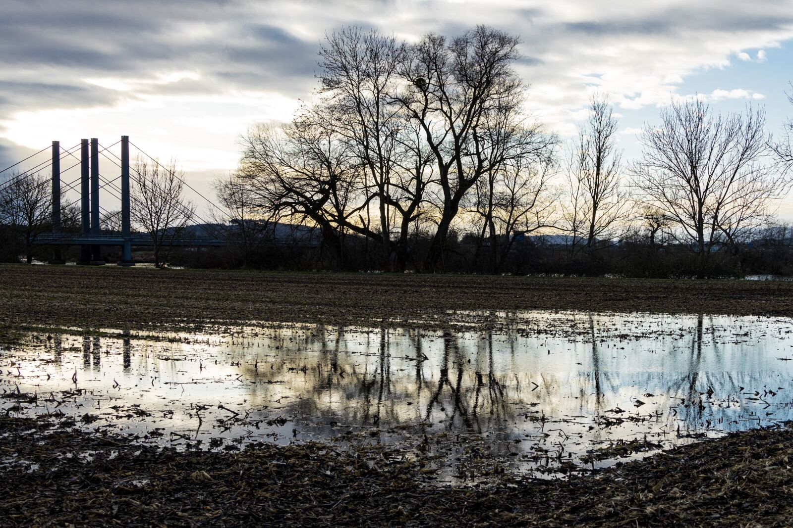 Canon EOS R sample photo. Aare, mood, shadow photography
