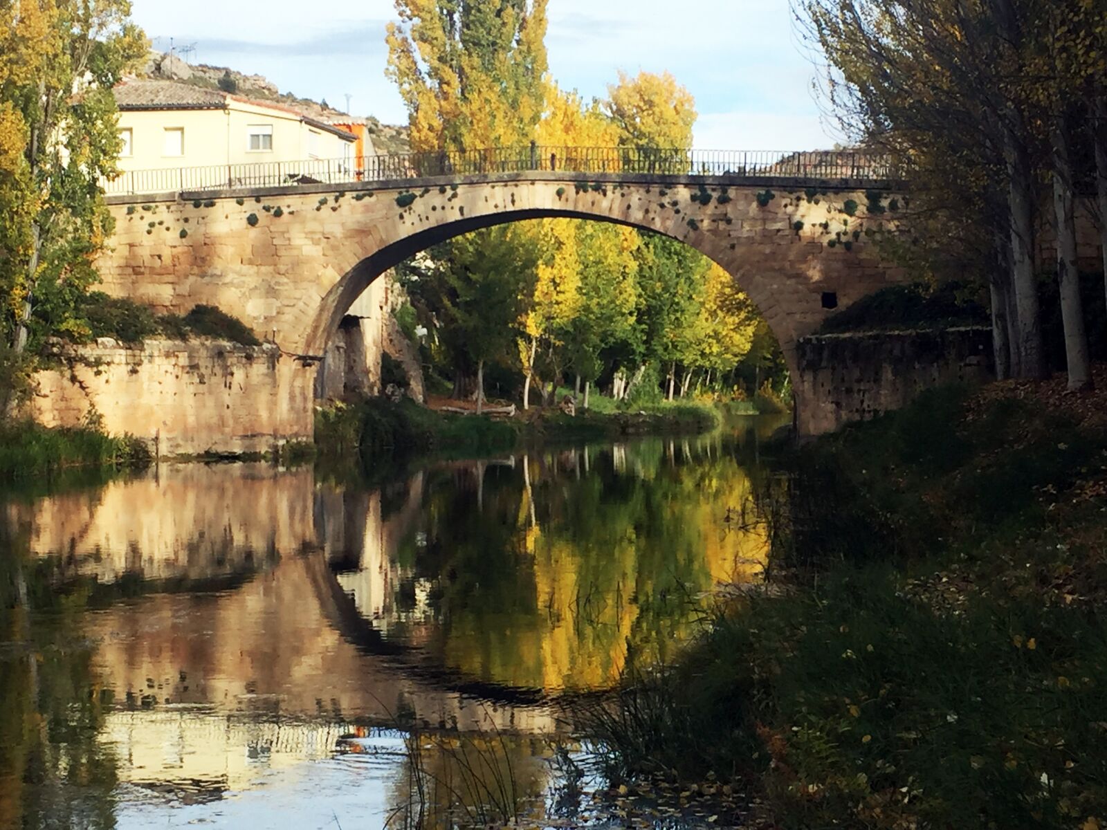 Apple iPhone 6 sample photo. River, autumn, trillo photography