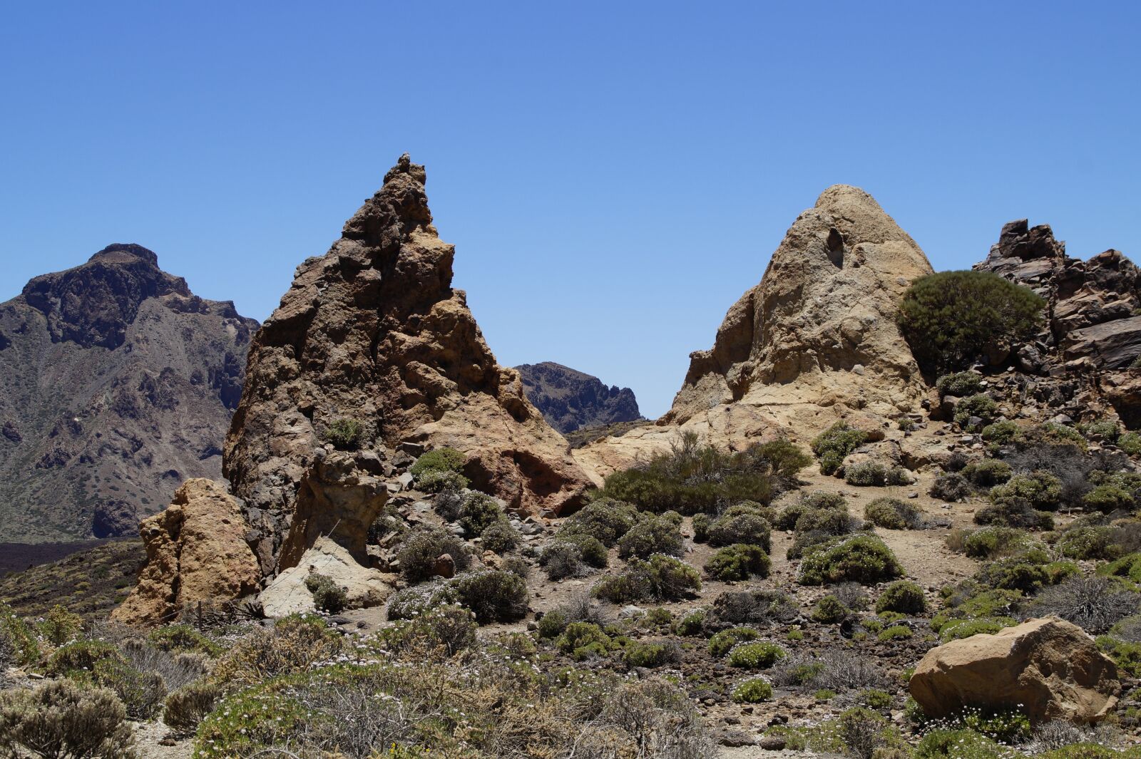 Sony SLT-A58 sample photo. Teide national park, national photography