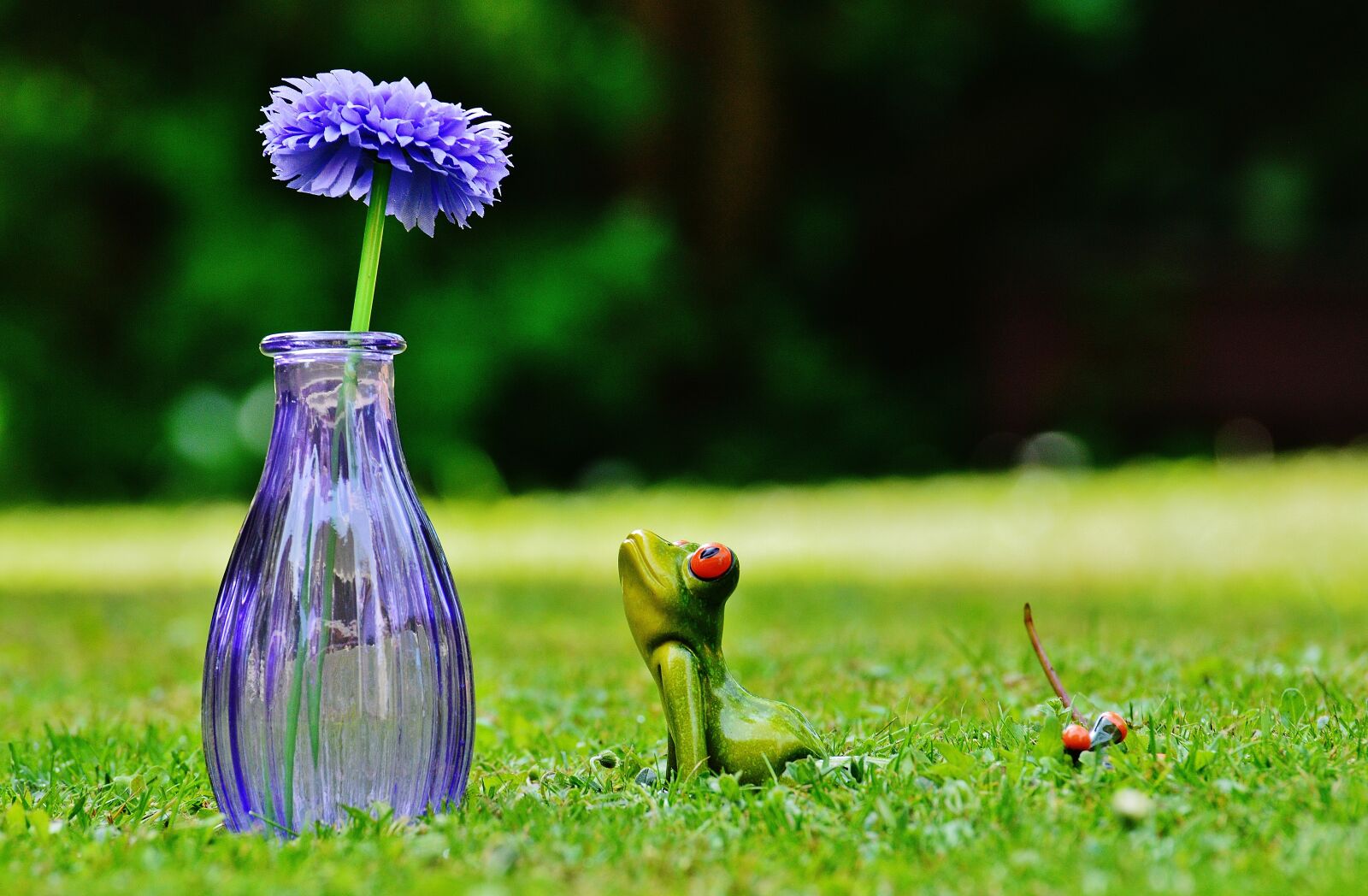Nikon D3200 sample photo. Vase, flower, frog photography