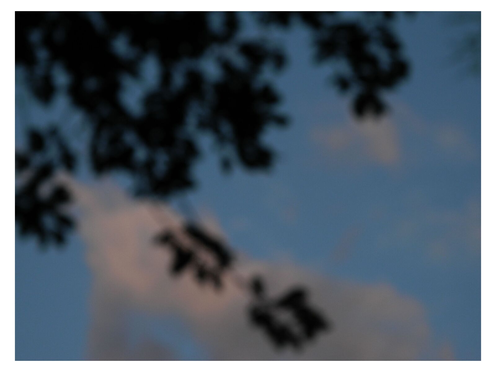 Nikon COOLPIX L310 sample photo. Cloud, blue, tree photography