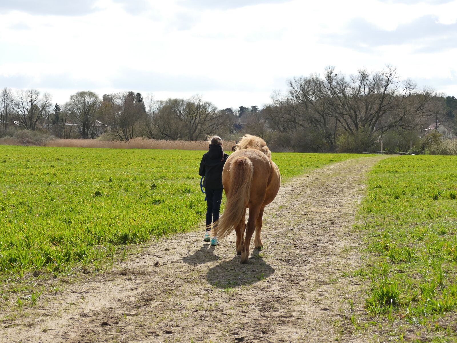Panasonic Lumix DMC-FZ1000 sample photo. Human, child, horse photography