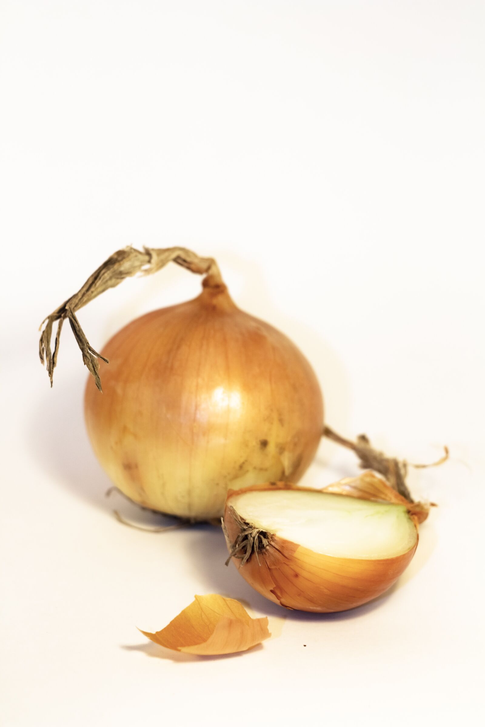 Canon EOS 100D (EOS Rebel SL1 / EOS Kiss X7) sample photo. Onion, food, vegetable photography