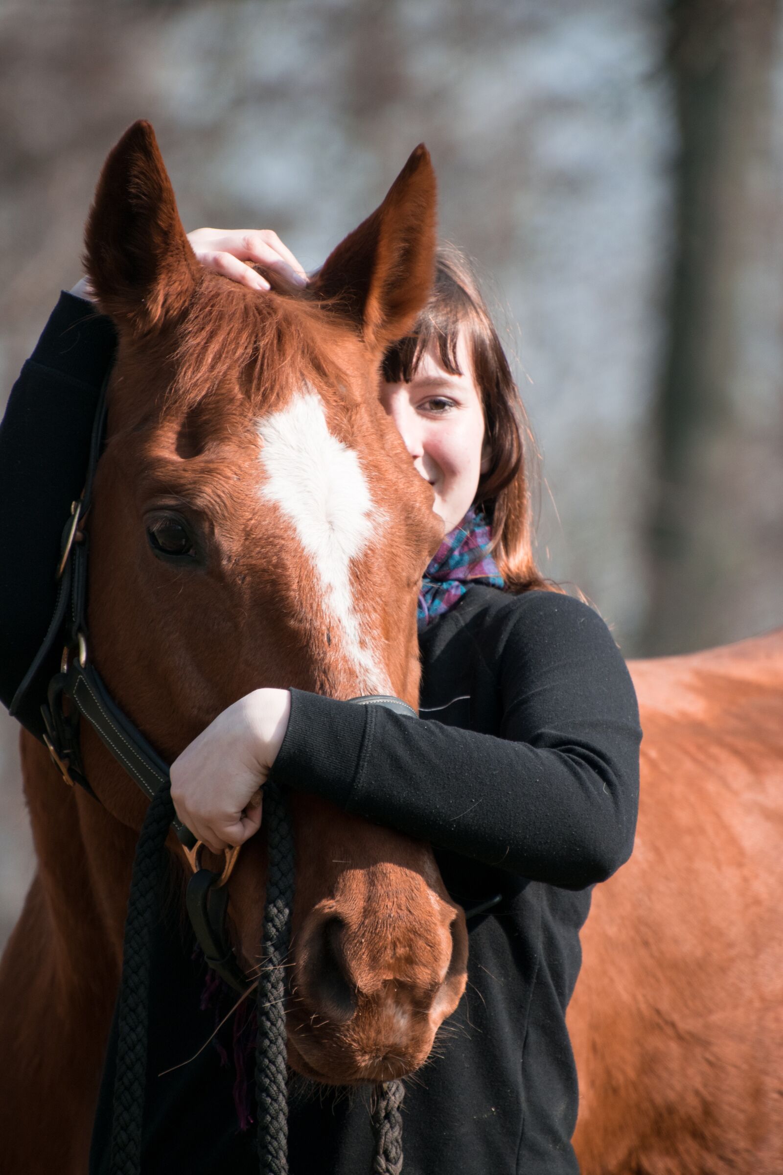 Nikon D3300 sample photo. Horse, animal, fuchs photography