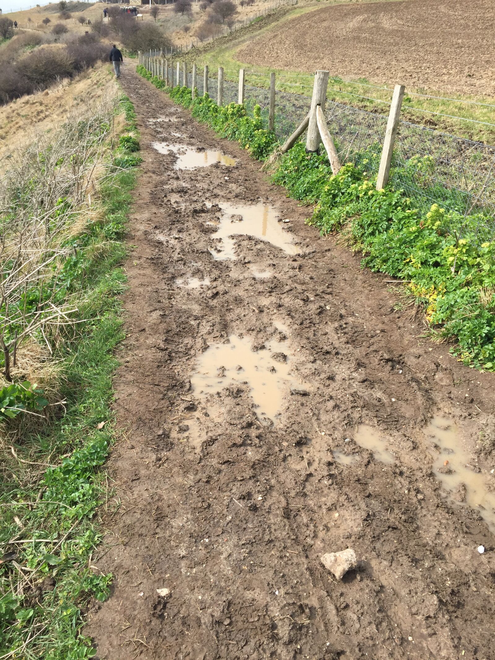 iPhone 6 back camera 4.15mm f/2.2 sample photo. Mud, muddy, path photography