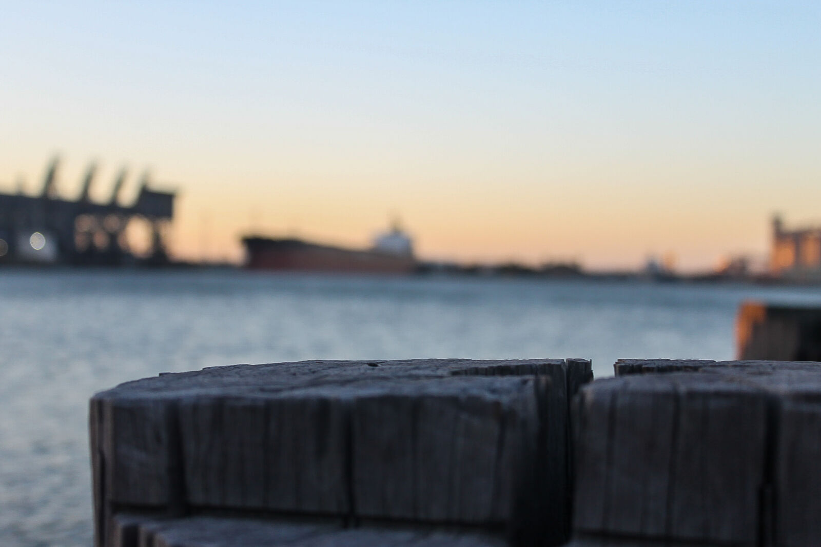Canon EOS 1100D (EOS Rebel T3 / EOS Kiss X50) sample photo. Australia, blur, blurred, background photography
