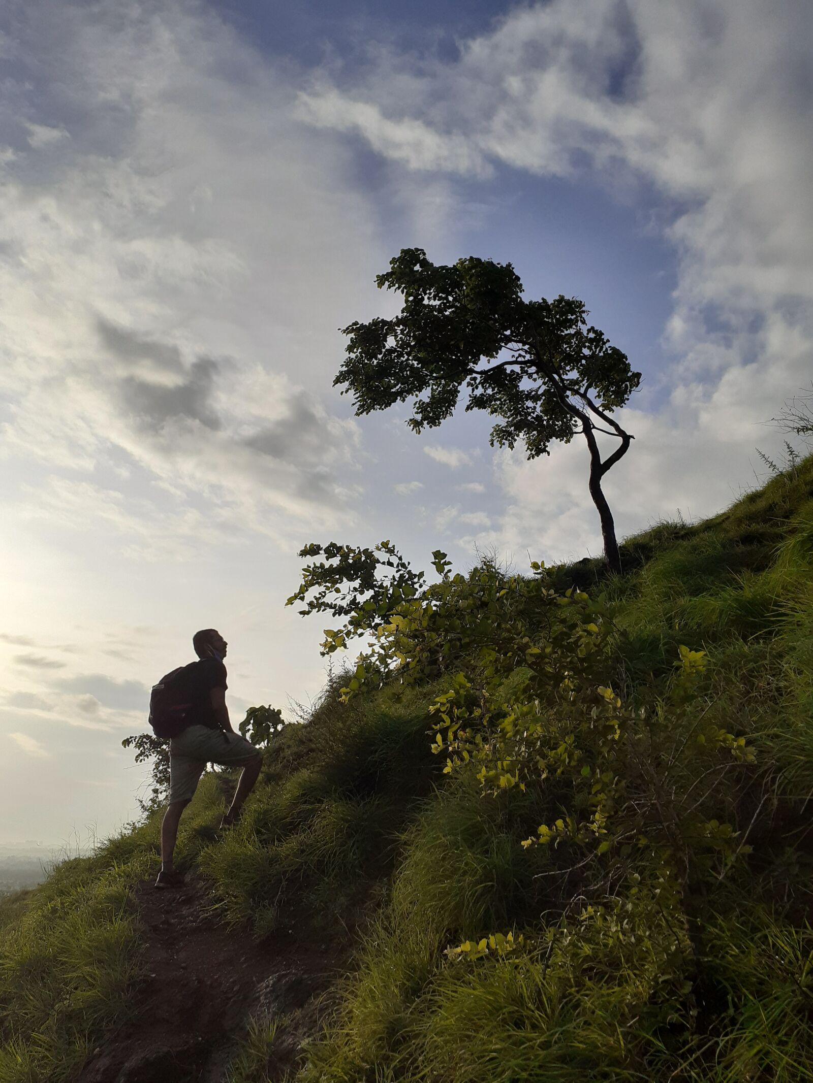 Samsung SM-M205F sample photo. Nature, trek, sports photography