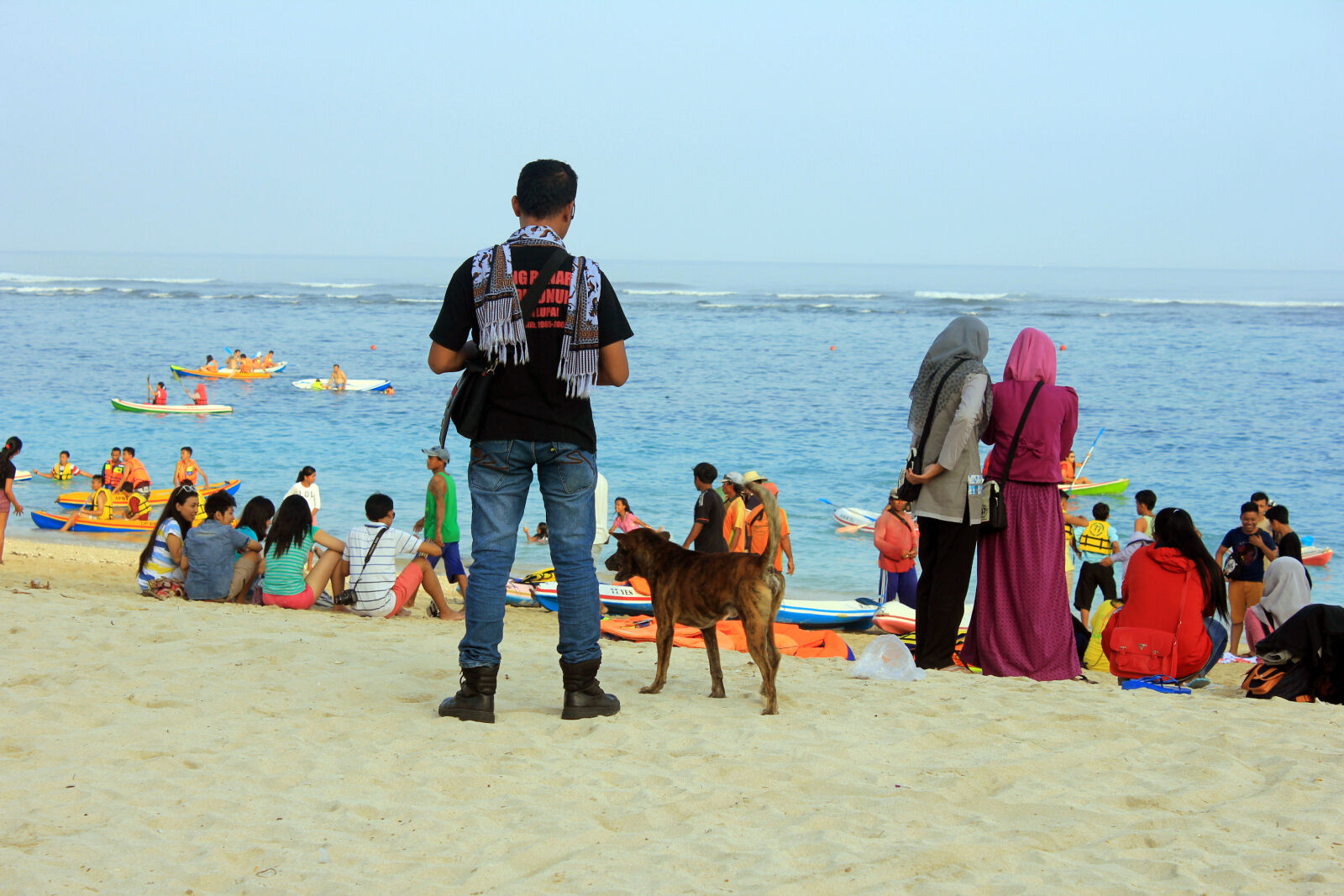 Canon EOS 550D (EOS Rebel T2i / EOS Kiss X4) sample photo. Animal, beach, dog photography