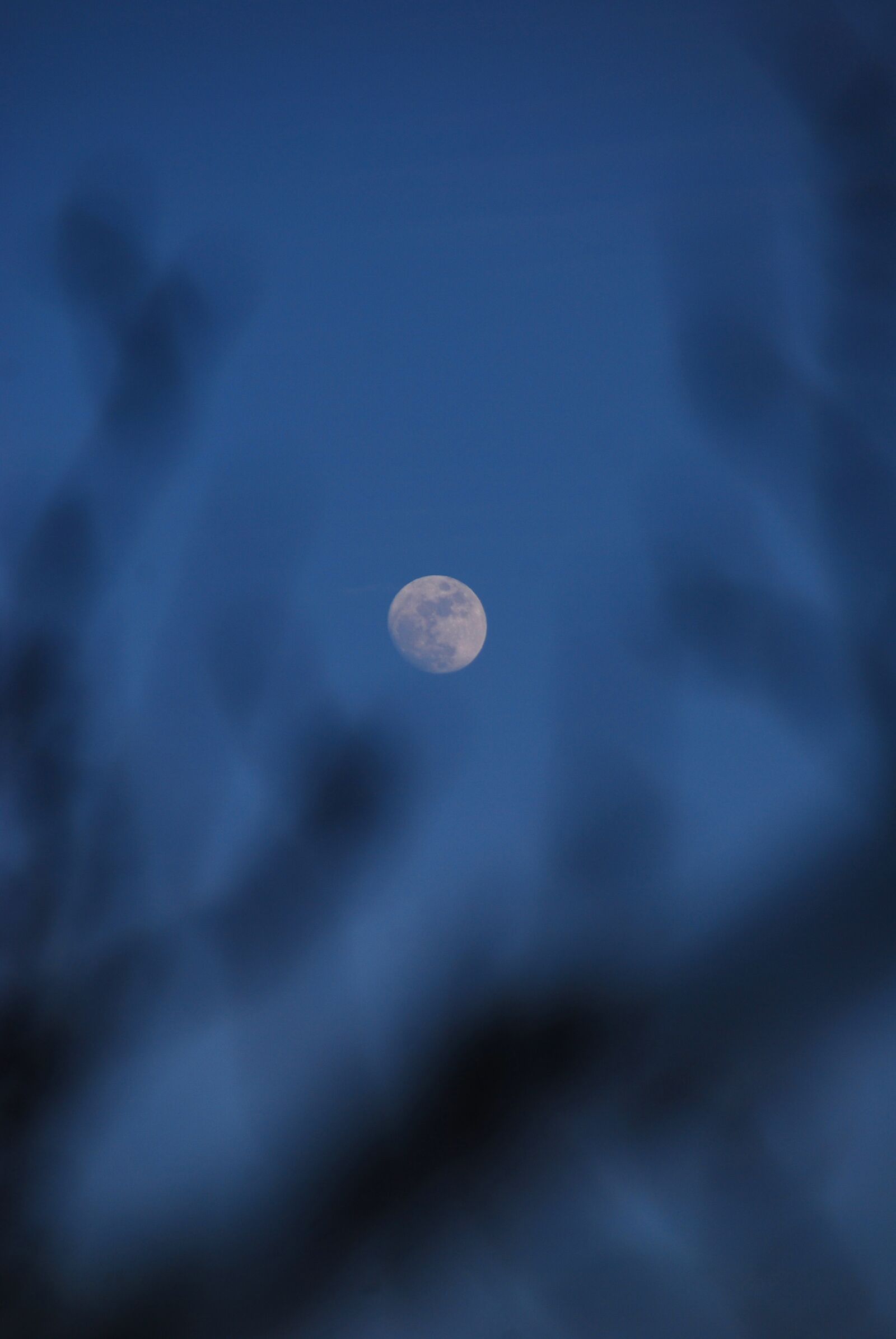 Nikon D40X sample photo. Moon, sky, blue photography