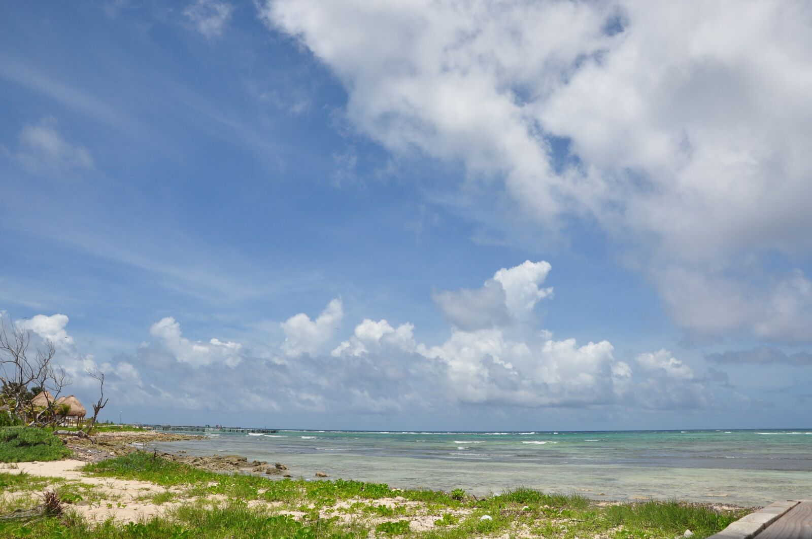 Nikon D90 sample photo. Grass, beach, clouds photography