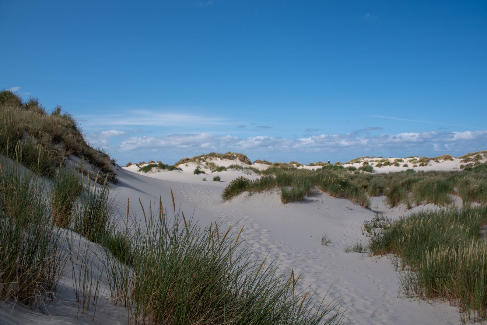 Nikon D750 sample photo. Dunes, sand, landscape photography