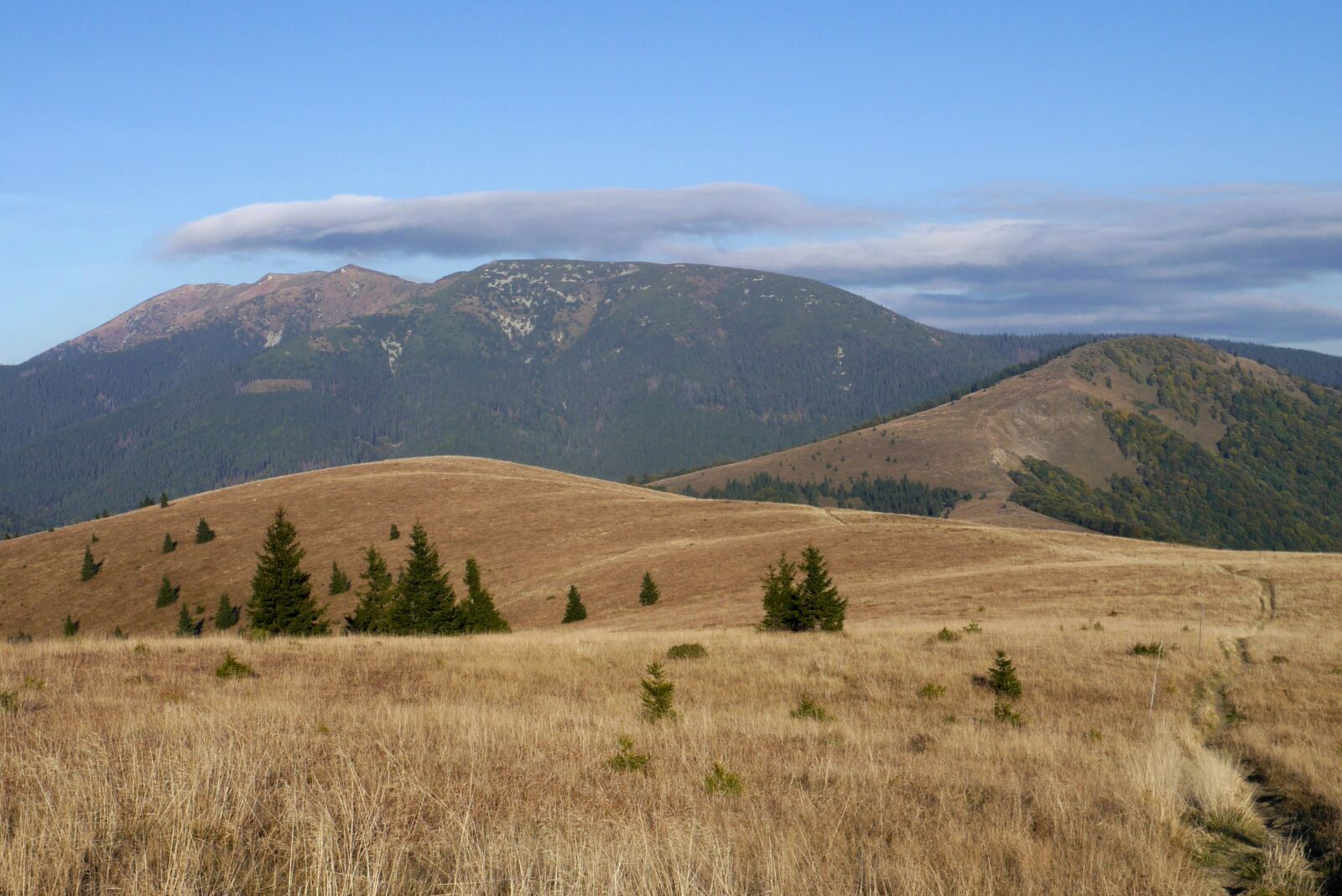 Panasonic Lumix DMC-G6 sample photo. Low tatras, mangy, mountains photography