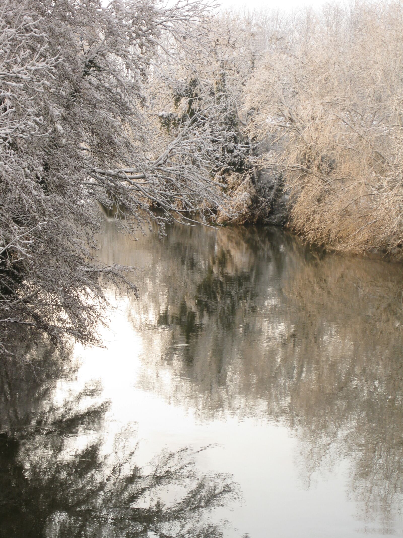 Canon PowerShot SD790 IS (Digital IXUS 90 IS / IXY Digital 95 IS) sample photo. Snowy, river, winter photography