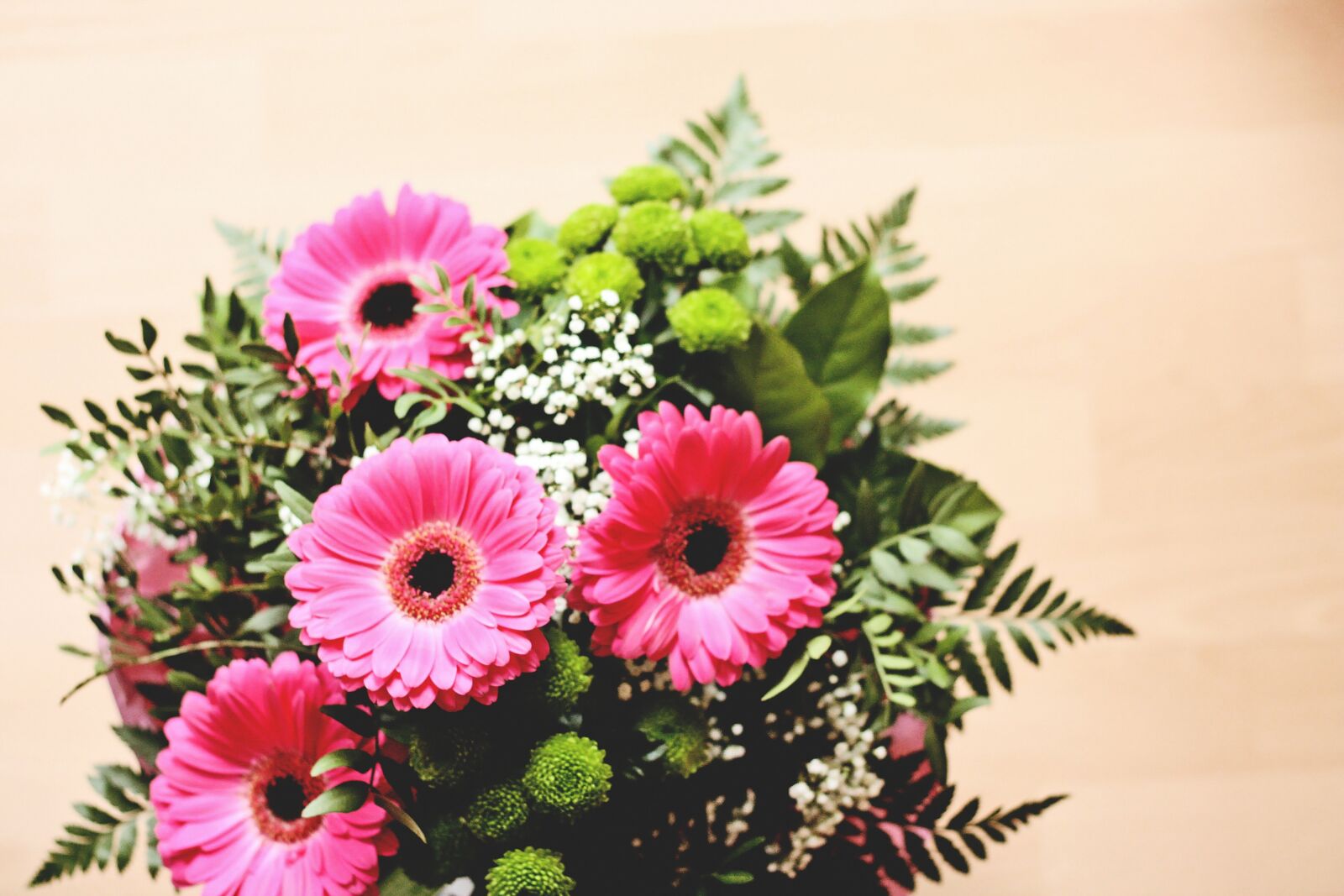 Canon EOS 1000D (EOS Digital Rebel XS / EOS Kiss F) sample photo. Bouquet, pink, spring photography