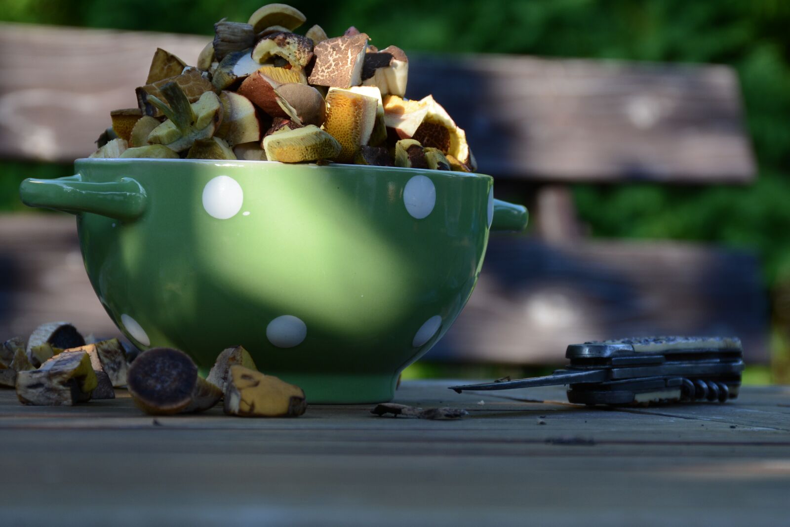 Nikon D7100 sample photo. Mushrooms, forest, nature photography