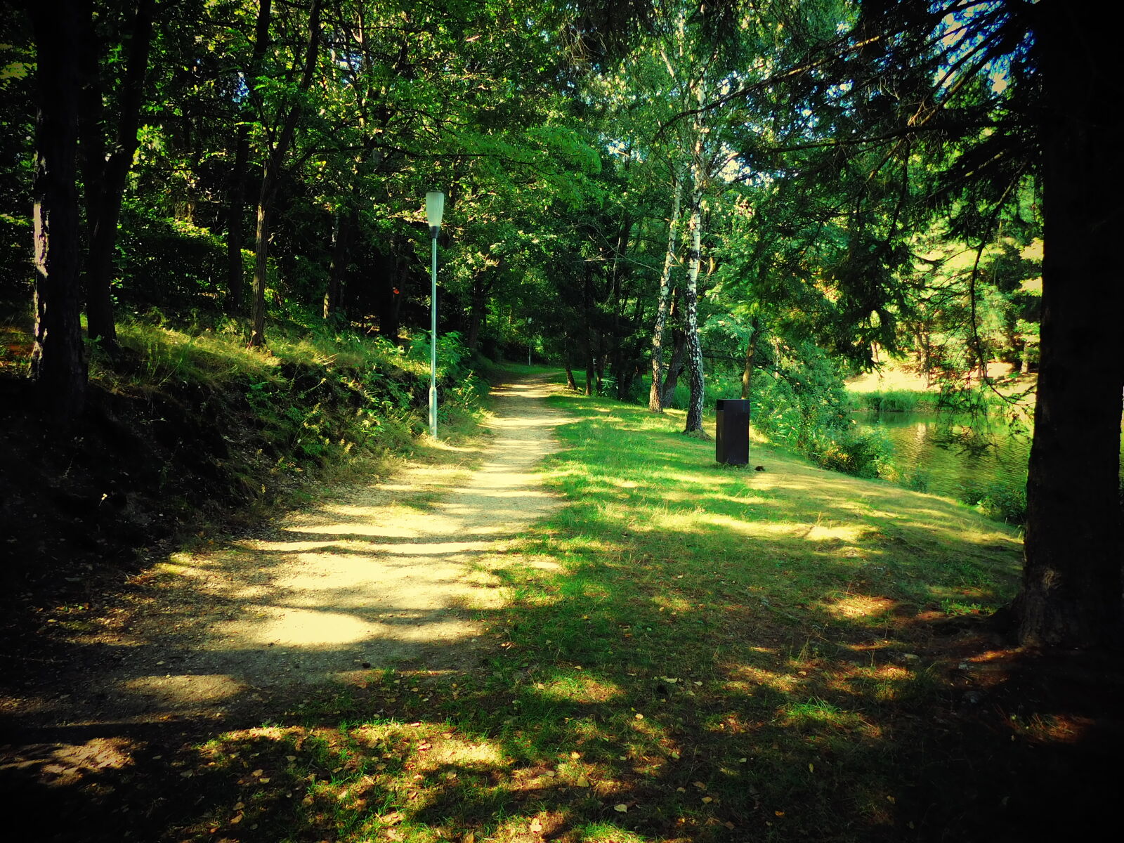 Nikon Coolpix L840 sample photo. Green, hot, nature, outdoor photography