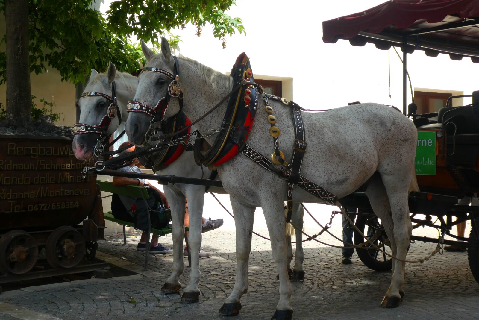 Panasonic Lumix DC-ZS70 (Lumix DC-TZ90) sample photo. Horses, horse and carriage photography