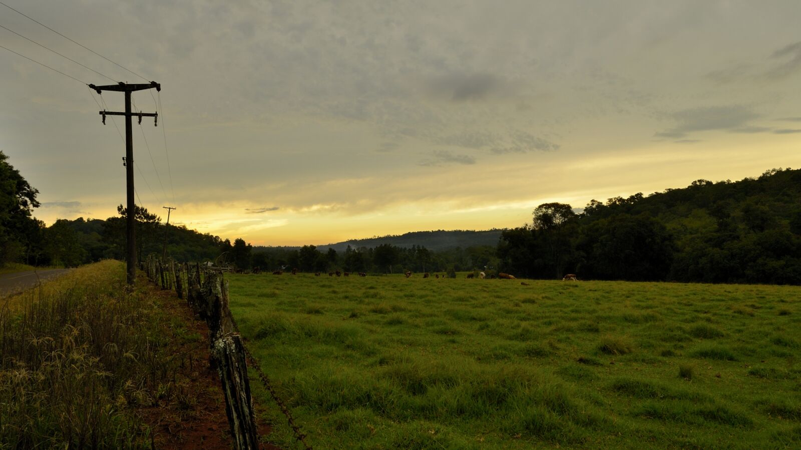 Nikon D5100 sample photo